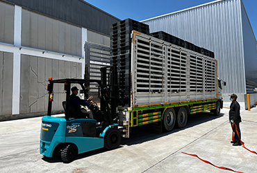 Here for all your export pallet needs.